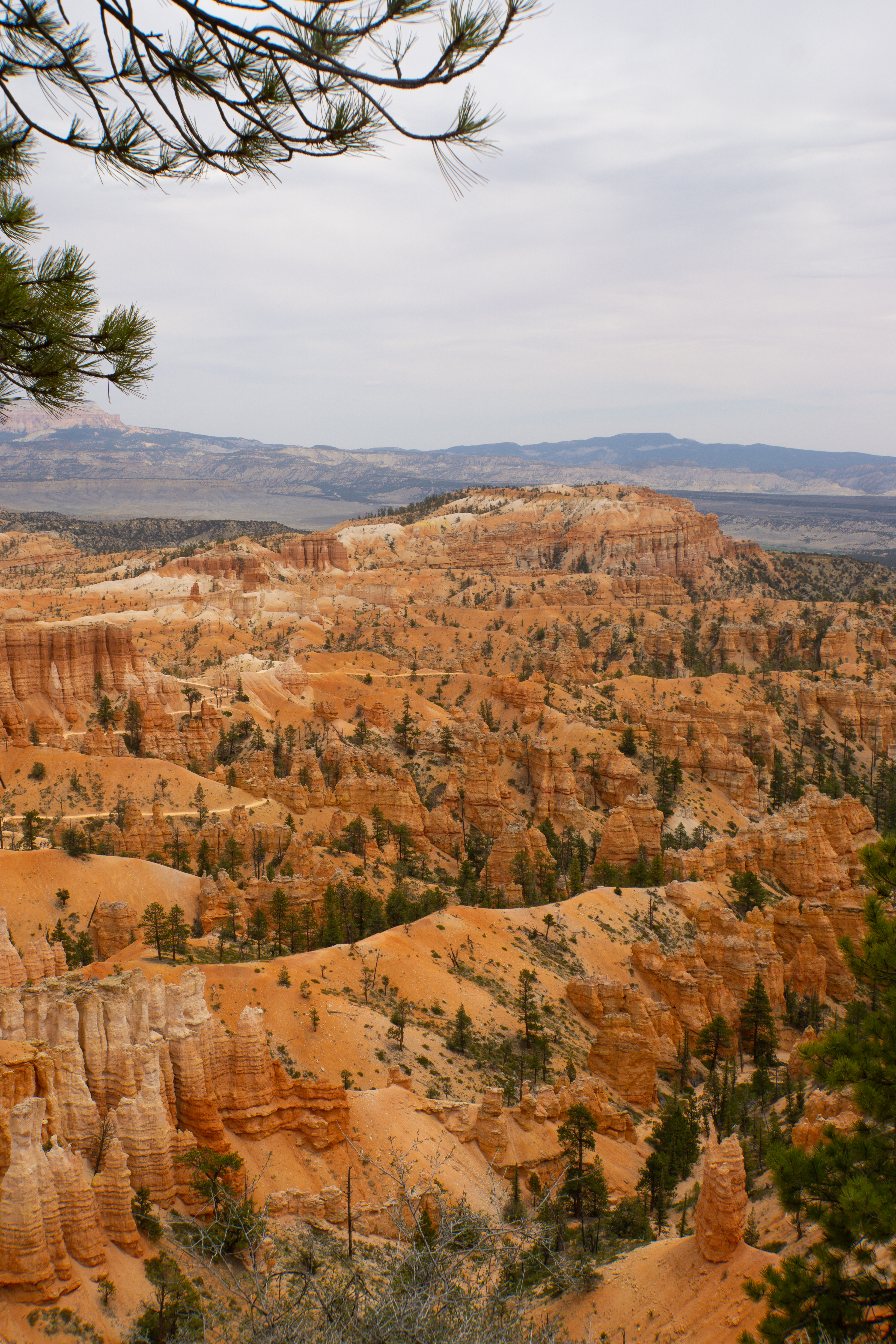 US National Parks 2022 2